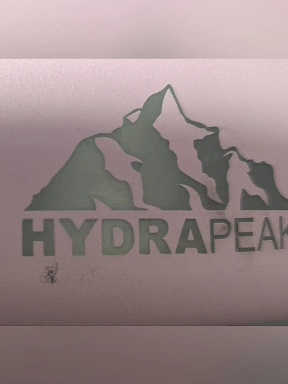 Hydrapeak Stainless Steel Non Slip Dog Bowl